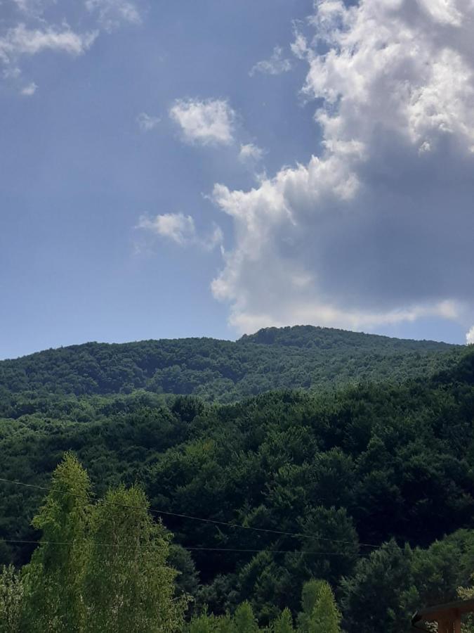 Соколів Камінь Novoselitsa  Luaran gambar
