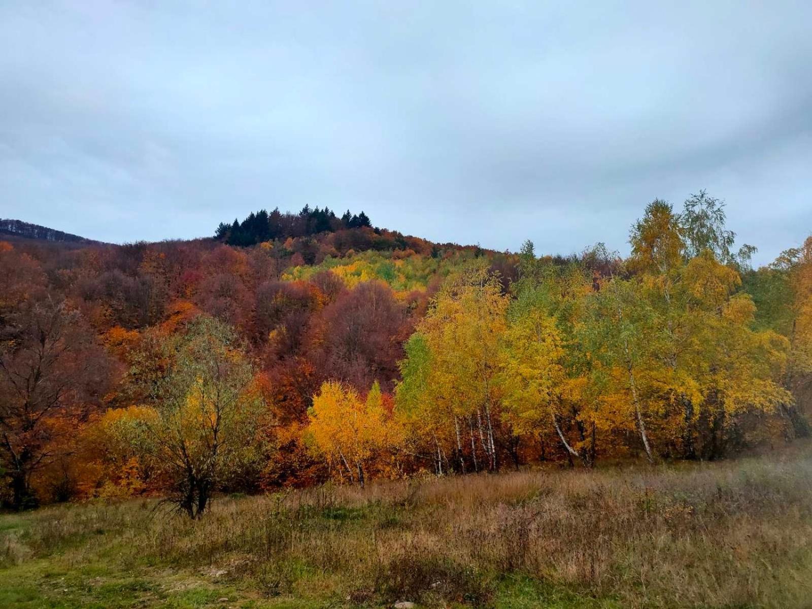 Соколів Камінь Novoselitsa  Luaran gambar
