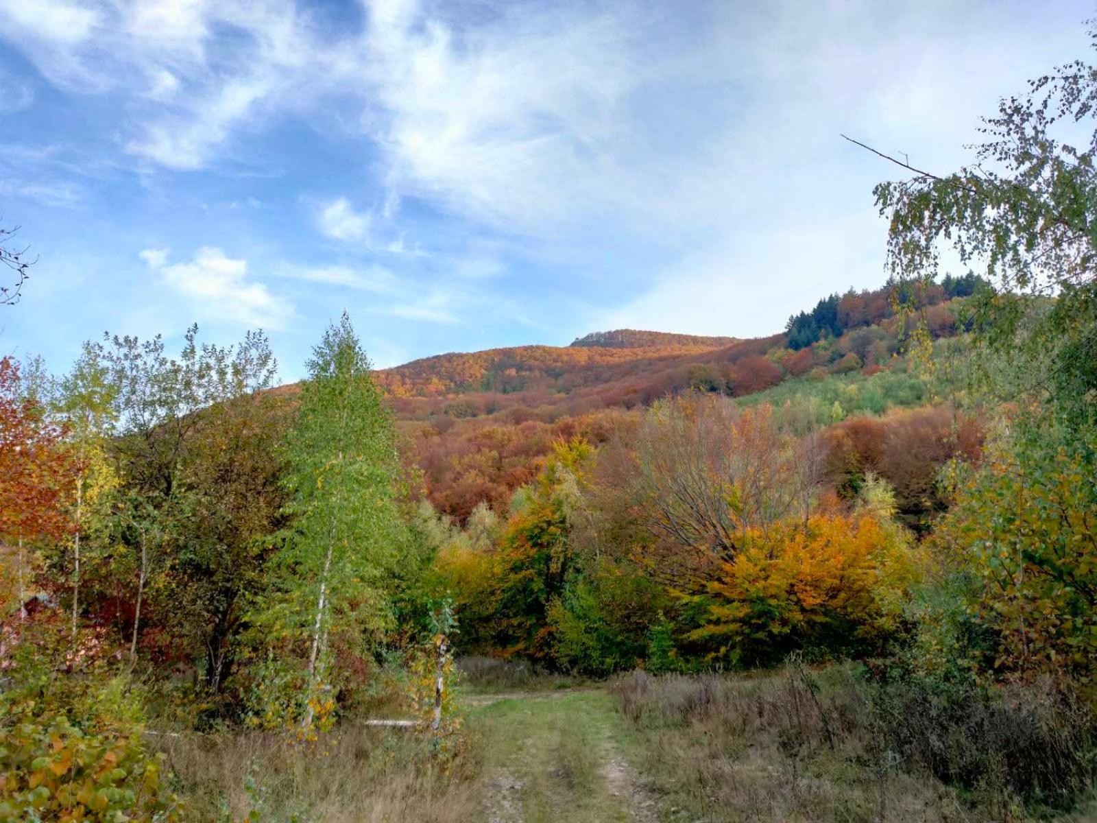 Соколів Камінь Novoselitsa  Luaran gambar