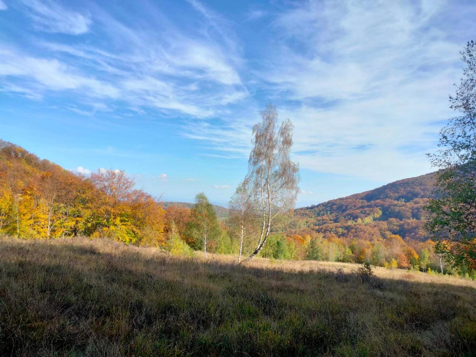 Соколів Камінь Novoselitsa  Luaran gambar