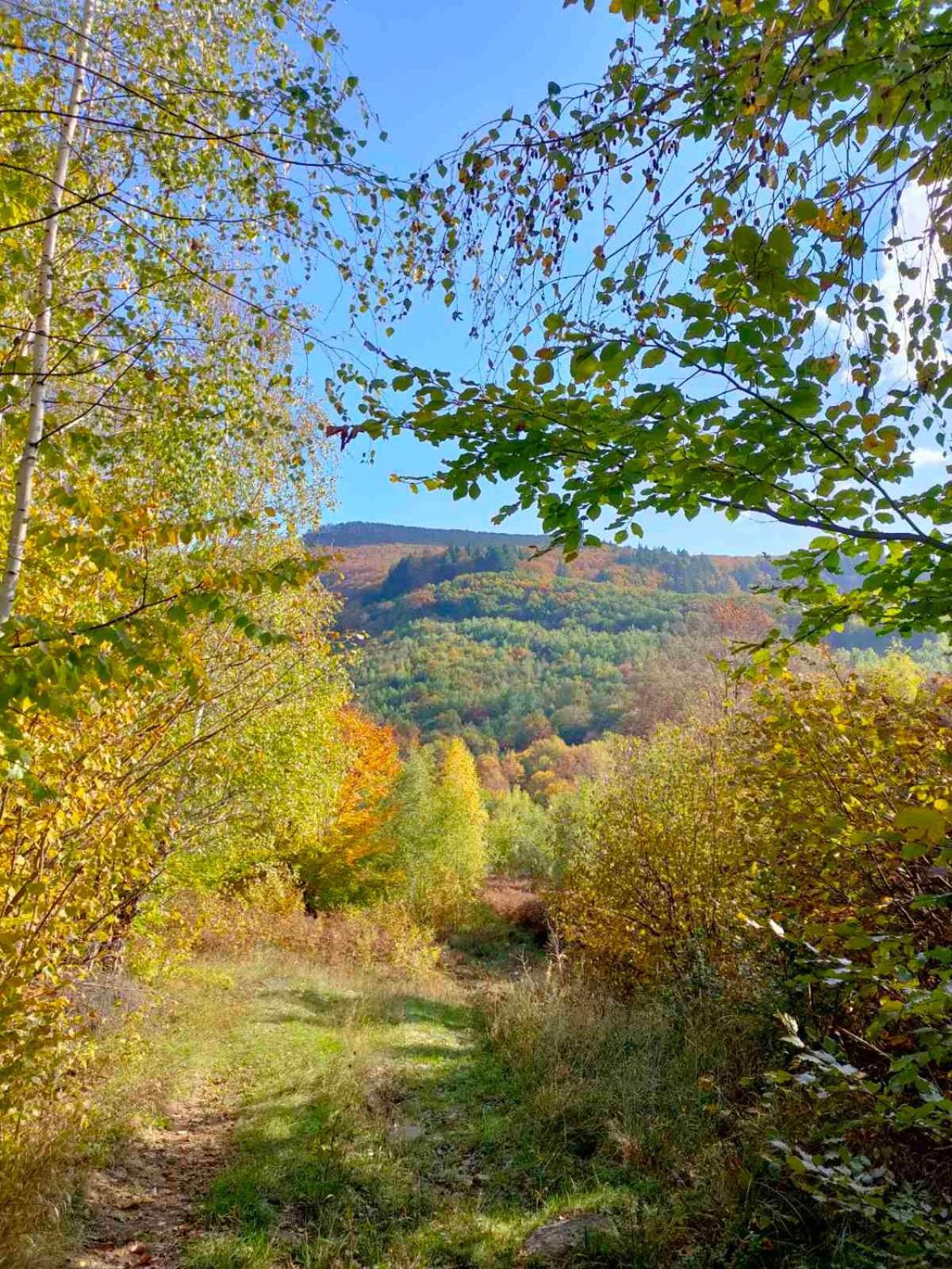 Соколів Камінь Novoselitsa  Luaran gambar